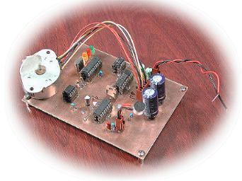 tracys electronic poodle